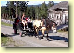 Et bilde som inneholder utendørs, transport, hest, Hest og kjerre
Automatisk generert beskrivelse