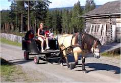 Et bilde som inneholder utendørs, transport, hest, Hest og kjerre
Automatisk generert beskrivelse