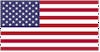 Amerikansk flagg